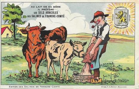 Au lait de sa mère ile préfère le sel