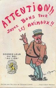 Soignez bien vos animaux
